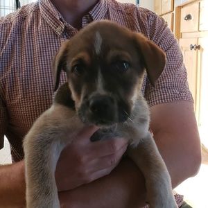 Meet your Posher, Derek